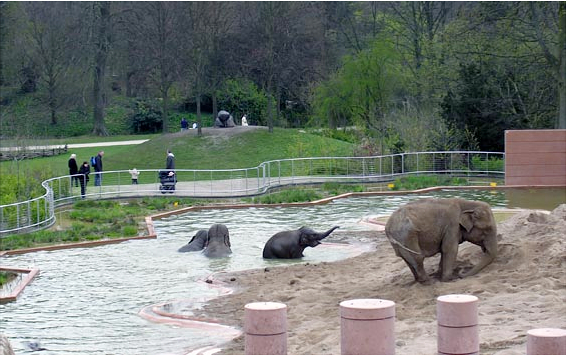 Elefanthus-Zoo