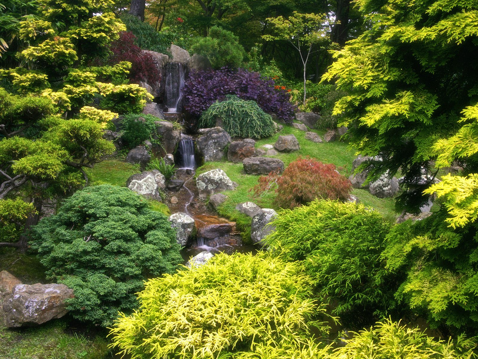 Japanese-Tea-Garden-Golden-Gate-Park-San-Francisco-California