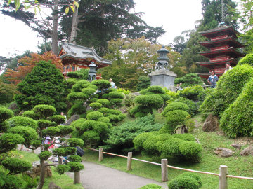 japanese-tea-garden
