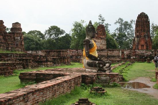 ayutthaya buddha