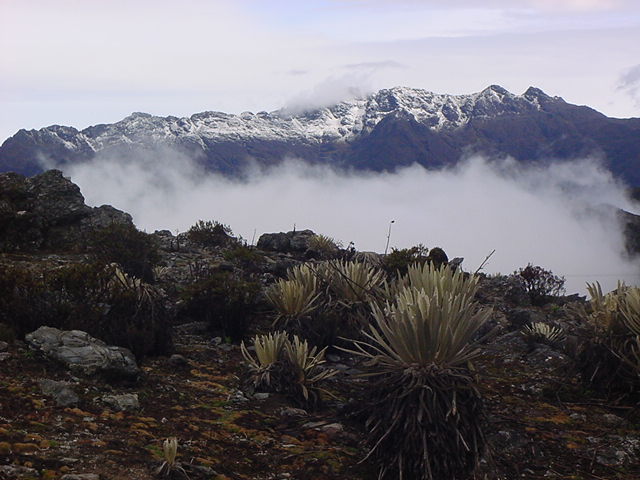 Mountain Range of the Cordillera de Merida