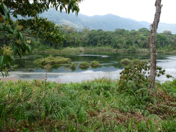 Nacionalinis Yacambu parkas1