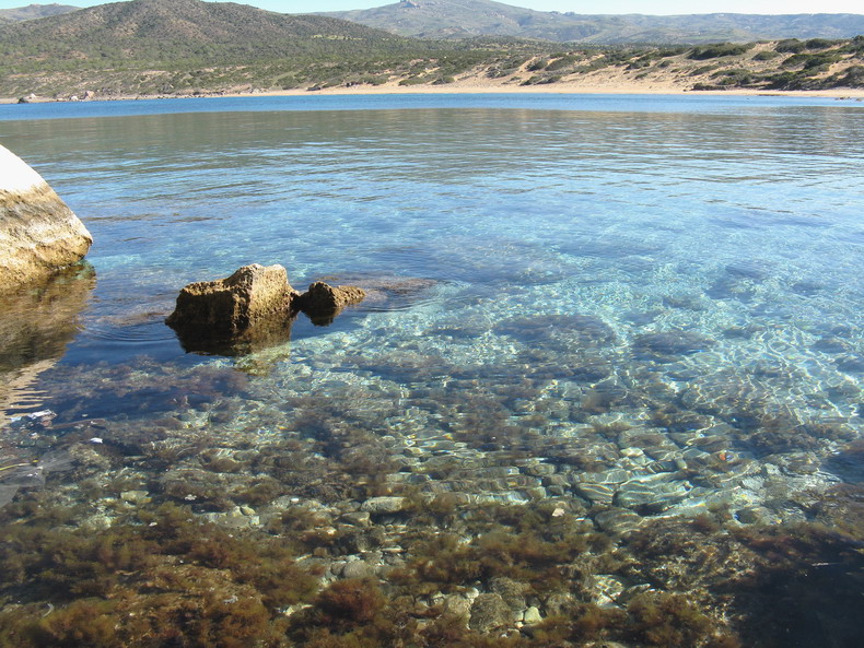 Lara Bay Turtle Reserve