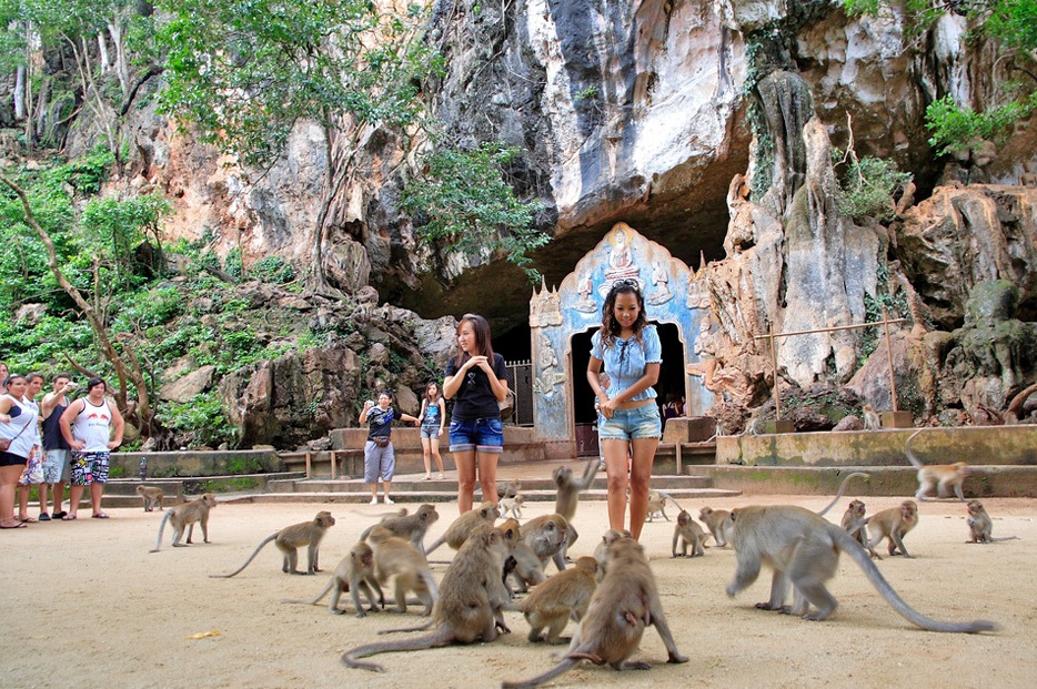 monkey-cave-temple