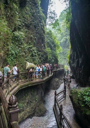 mt-emei-natural-ecology (1)